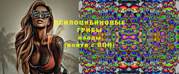 молекула духа Алзамай