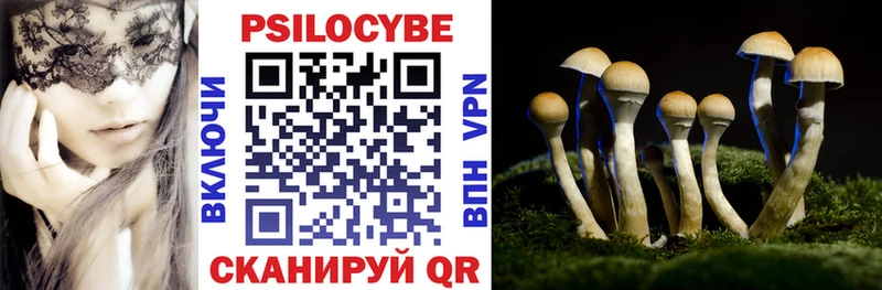 Псилоцибиновые грибы прущие грибы  Игра 